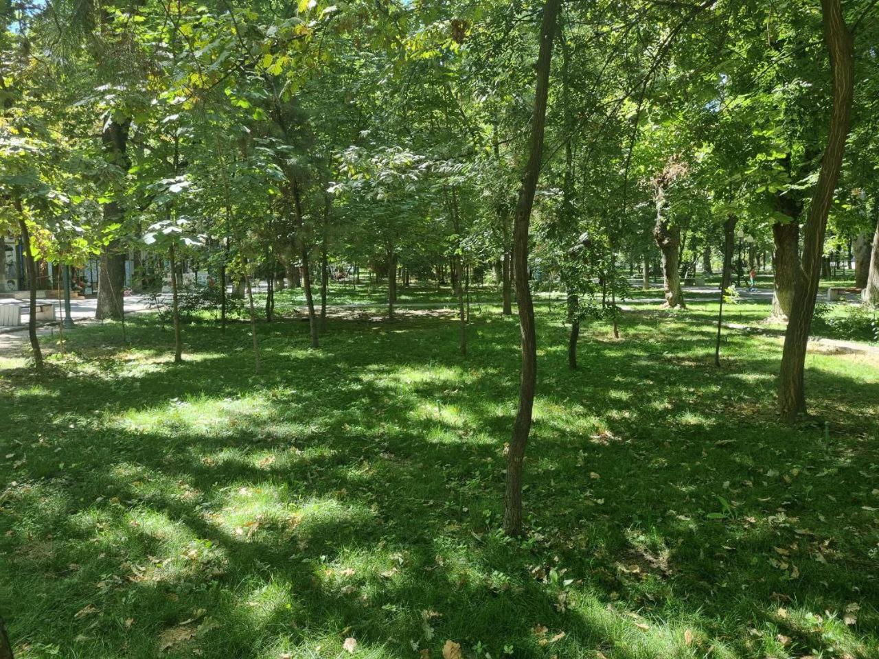 City Center Apartment 1 Tashkent Ngoại thất bức ảnh